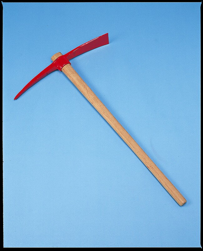 Rakuten - バチツル