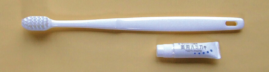 歯ブラシ　3gチューブ付　100本入