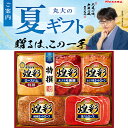 【送料無料】丸大食品 煌彩 ハム ギフトセット kk-505 夏のギフト お中元 夏ギフト お歳暮 贈り物 新築祝い 結婚祝い お祝い