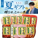 【送料無料】丸大食品 塩分カット ハム バラエティ ギフト TS-509 夏のギフト お中元 夏ギフト お歳暮 贈り物 新築祝い 結婚祝い お祝い