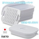 タイムセール 折りたためる つけ置き洗い バケツ 洗い桶 7L 2023年7月発売 新製品 フタ付 洗濯板付き 落し蓋 ホワイト グレー おしゃれ 運動靴 上靴...