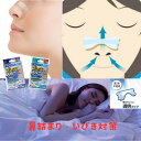 ブレススルー 鼻腔拡張テープ マウステープ付 透明 (20枚入) 鼻腔テープ 鼻テープ いびきテープ いびき 鼾 いびき対策 スポーツ 鼻用テープ 睡眠グッズ ...