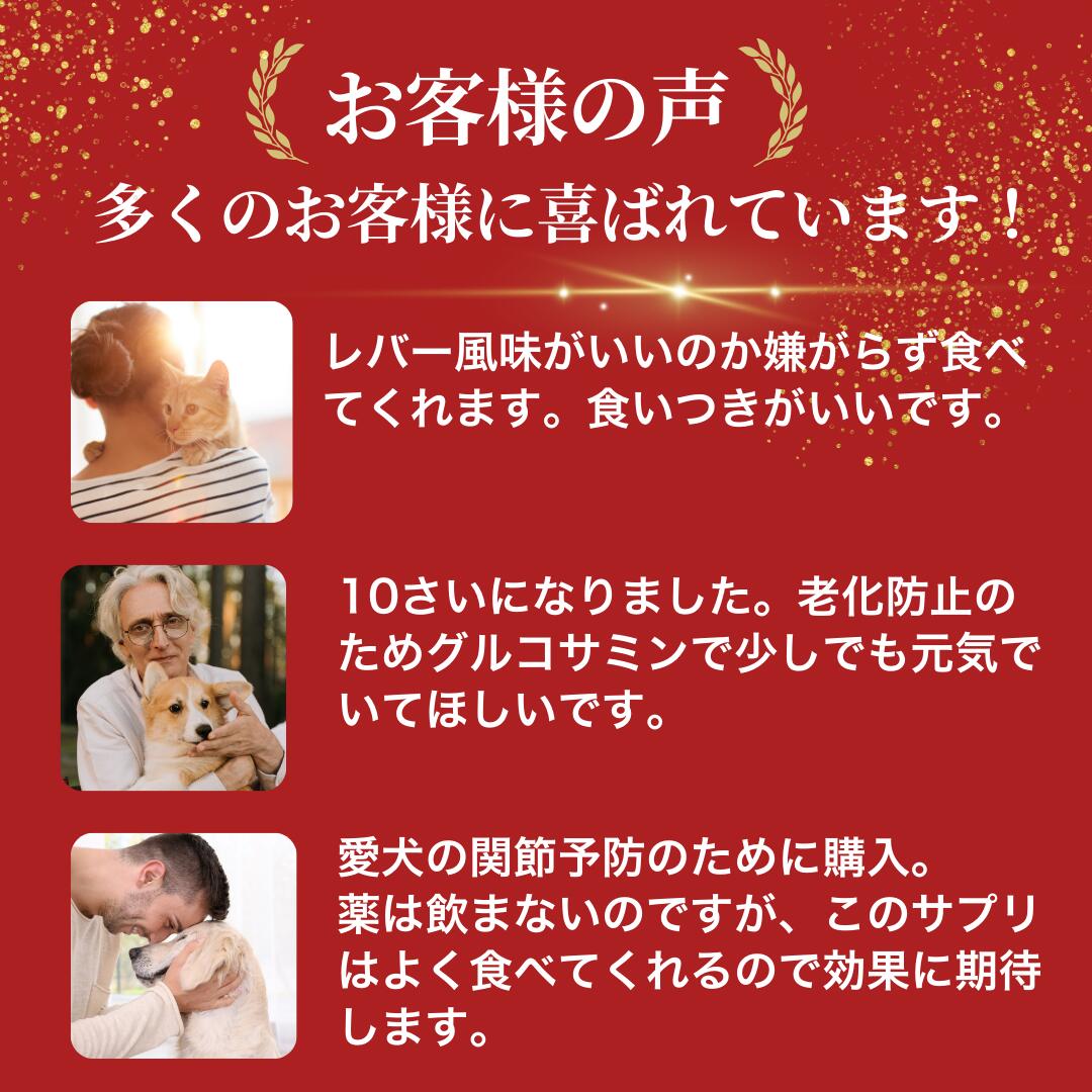 【ココナツショップ 全商品50円オフ】犬用 猫用 サプリ グルコサミン ペット サプリメント 関節 ひざ 背骨 骨 腰 愛犬ケア 愛猫ケア 関節ケア 免疫サポート キノコ 菌活 シニア犬 シニア猫 骨 筋肉 ヒアルロン酸 高齢犬 高齢猫 長生き 無添加 日本製 eikoh-shop-10005217 ココナツショップ 楽天市場店 サンプル画像2