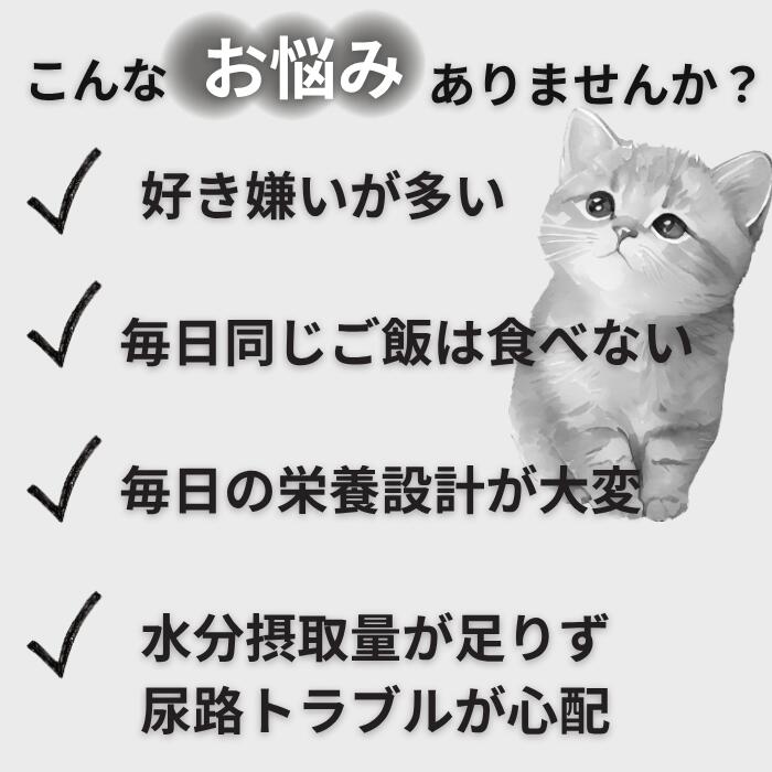 【ココナツショップ 全商品50円オフ】キャットフード パウチ バラエティ 14パック 2週間分 グレインフリー グレイビー ネコ 猫 総合栄養食 リアルミート シグネチャー7キャットフード ウェットフード 猫缶 グレービー 総合栄養食 ローテーションフード穀物不使用 eikoh-shop-10005277 ココナツショップ 楽天市場店 サンプル画像3