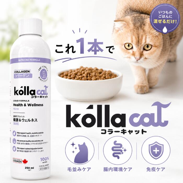 猫用 液体サプリメント コラーゲン 毛並み 腸内環境 免疫ケア 健康サポート 混ぜるだけ 簡単栄養補給 kollacat コラーキャット 食いつきアップ 皮膚 被毛ケア シニア対応 子猫対応 無添加 日本向けカナダ産 ペット用 栄養補助食品 毎日ケア