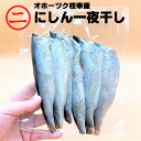 【鰊一夜干し 100g ×3パックセット】にしん お魚 おつまみ 珍味 肴 永光水産 鰊 一夜干し 3パック にしん 魚 国産骨ごと 食べられる フライパンで 焼くだけ蒲焼 甘露煮 アレンジ 小さい鰊北海道 オホーツク 枝幸産