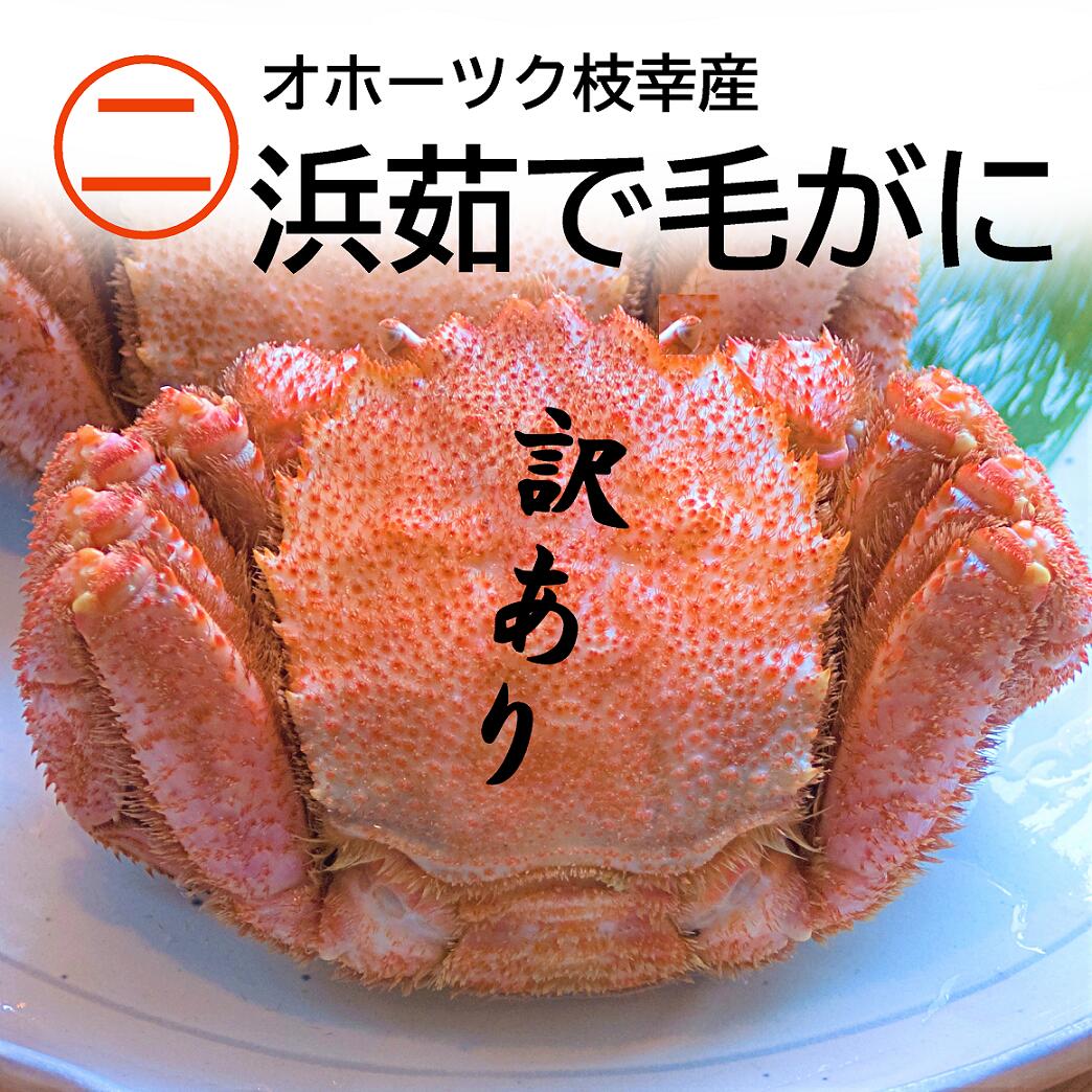 【浜茹で毛がに 440g】訳あり 2023年 春 北海道産 オホーツク 毛ガニ 食べ応えたっぷり44 ...