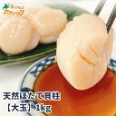 【天然ほたて貝柱 (大玉)1kg】送料無料 北海道 ホタテ ほたて 帆立1kg 冷凍 刺身 人気 オホーツク