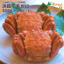 【浜茹で毛がに 500g×2】2025年 春 北海道産 オホーツク 枝幸 毛ガニ 食べ応えたっぷり約500g 2尾セット 冷凍便!毛ガニ 浜茹で お取り寄せグル...