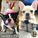 楽天Life Photo STUDIO 栄光社【ペット写真】犬　ブルドッグ　1枚 納品 ペット ペット写真 思い出 記念日 写真館 スタジオ 写真撮影 カメラ 一眼レフ プロカメラマン データ納品 栄光社 兵庫県 加西市