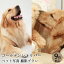 【ペット写真】犬　ゴールデンレトリバー　9枚 納品 ペット ペット写真 思い出 記念日 写真館 スタジオ 写真撮影 カメラ 一眼レフ プロカメラマン データ納品 栄光社 兵庫県 加西市