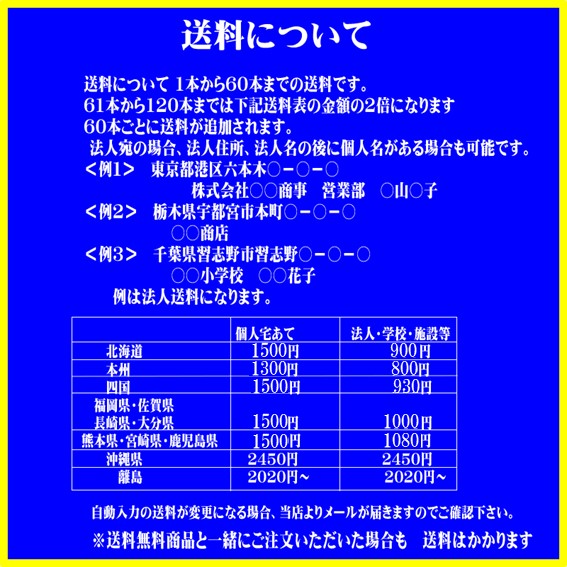 55cm　個人専用　交通安全グラスファイバーワンタッチ傘　5本まで 耐風骨　かさ 学...