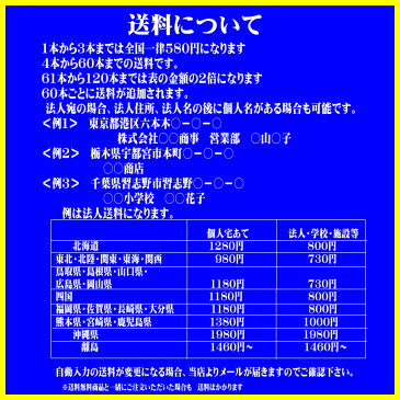 スーパーミニ傘 めちゃ軽　折りたたみ傘 軽量　iPhoneより軽い140g　無地 ポケットサイズ　　k-578