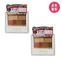 【2個セット】キャンメイク 粉末 パーフェクトマルチアイズ03 アンティークテラコッタ 3.3g