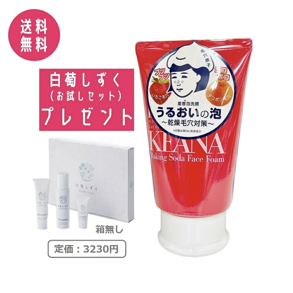 【白萄しずくお試しセット付き】石澤研究所 毛穴撫子 重曹泡洗顔 100g