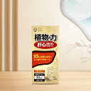 漢和鋭興植物の力 肝心な時に全力サポート(4)