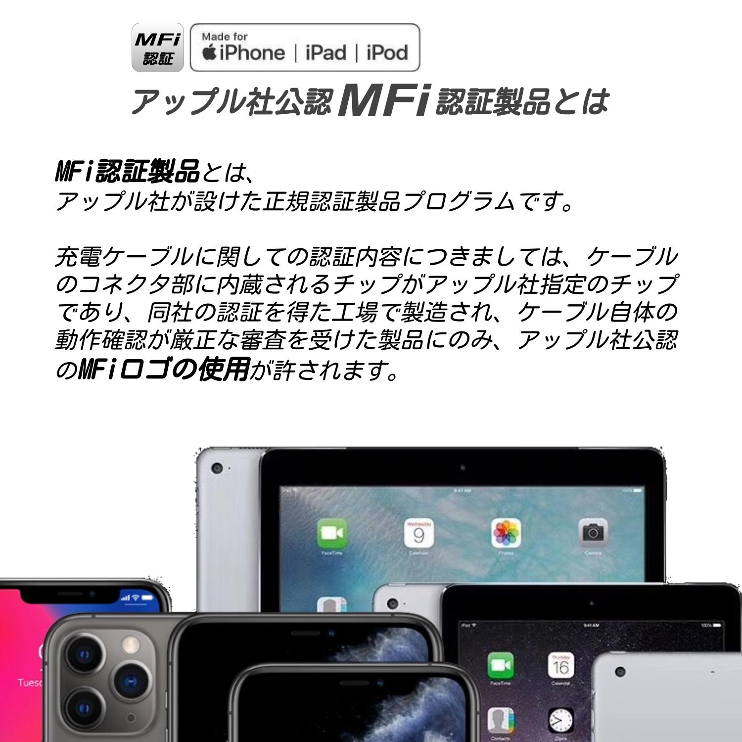 日本トラストテクノロジー Type-C充電おしらせケーブル 2m ブラック JTINDTC-2M-BK | ケーブル 関連単語 HDMI VGA インターフェース ディスプレイ パソコン DVD アナログ デジタル usb PC 周辺機器 アクセサリー 転送 信号 DVI 変換 ケーブル