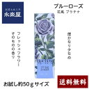 u[[Y Blue Rose ԕv`i TCY50g Ȃ菭Ȃ