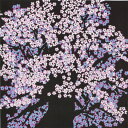 クリーニングクロス(大)「老い桜」
