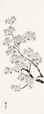 手ぬぐい「墨絵 桜」