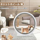 翌日配送★ キャットホイール 猫 ランニングホイール キャットウォーク キャット 猫用回し車 ローラー 猫のトレッドミル 爪研ぎ キャットエクササイズホイール ...