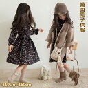 カーディガン 女の子 韓国風 ニット セーター コート ニットセーター 長袖 Vネック 前開き ボタン付き 長袖ワンピース スクール 学生 韓国風子供服 キッズ...