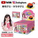 【8ケースセット】大人気グミ フルーツグミ すしグミ 寿司グミ サラダグミ 48g*8ケース ソフトグミ 人気菓子 お菓子 キャンディ 可愛い ぐみセット 洋菓子 子供 小学生 おもしろ こどもの日 子供の日 贈り物 クリスマス プレゼント 糖菓 Youtube insで話題