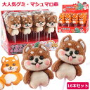 【16本セット】クリスマスお菓子 クリスマスグミ Merry Christmas 大人気グミ マシュマロ串 16本入り 韓国グミ ソフトキャンディー 人気菓子 ...