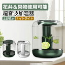 【安心保証】上部給水 加湿器 jsq-07 超音波加湿器 花弁&果物使用可能 卓上 小型 ナイトライト 連続 間欠 秋 冬 1L容量 タッチ 静音設計 水不足保護 乾燥問題対策 美肌効果 ウイルス対策 PM2.5 ホワイト グリーン 2色 お手入れ簡単