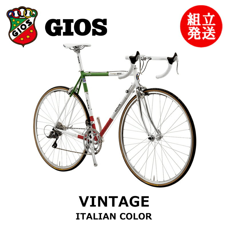 【2024年モデル】GIOS （ジオス） VINTAGE （