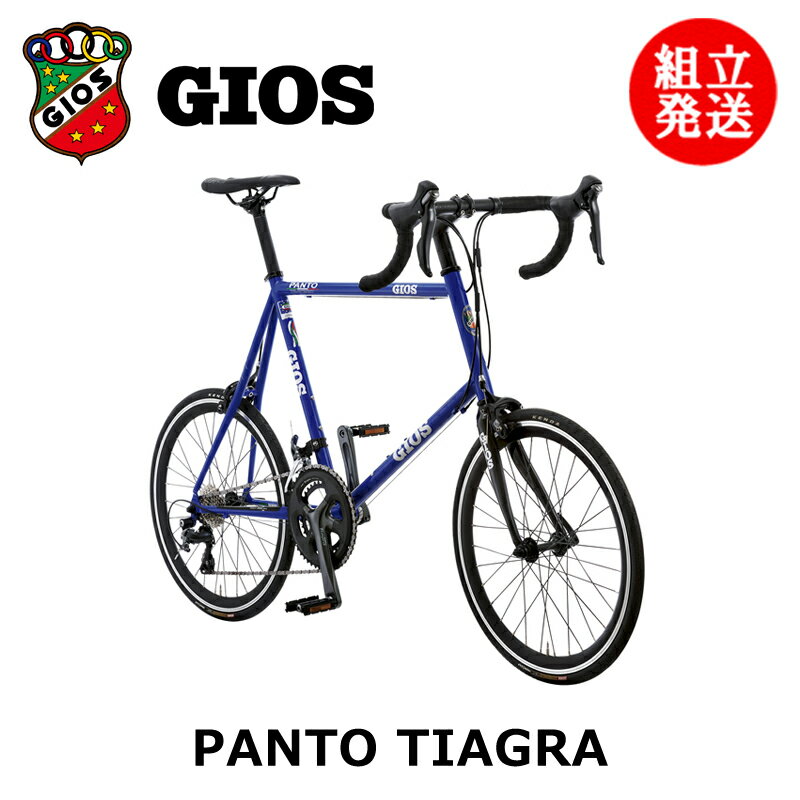 【2024年モデル】GIOS （ジオス） PANTO TIAGRA （パント ティアグラ） 【プロの整備士による整備組付..