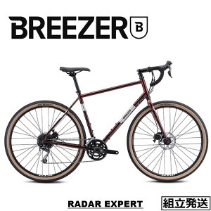 【2022-2023年モデル】BREEZERBIKES (ブリーザーバイクス) RADAR EXPERT (レイダーエキスパート)【プロの整備士による整備組付済】【丸太町店（スポーツ専門）】グラベルバイク