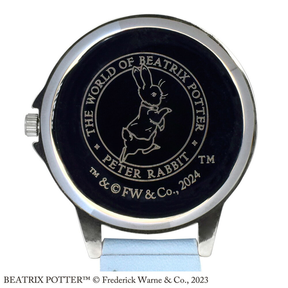 ピーターラビット グッズ ナースウォッチ 蓄光針 カラビナ付き ブルー キャラクター かわいい 看護学生 ST-TKP0005 メール便 送料無料 1年間保証書付