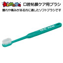 ライオン エラック 口腔粘膜ケア用ブラシ エクストラソフト 510ES (8-7208-02) メール便