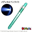 エリックカール メディカルペンライト シルバーグリーン ST-CEC0001 led ペンライト 医療用 看護師 ナース 瞳孔 ライト キャラクター かわいい