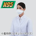 ホギメディカル N95マスク 結核用 スモール 50枚入 HPR-S