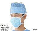 アズワン ナビス サージカルマスク(タイオンタイプ)50枚入 ASMT (7-7726-01)