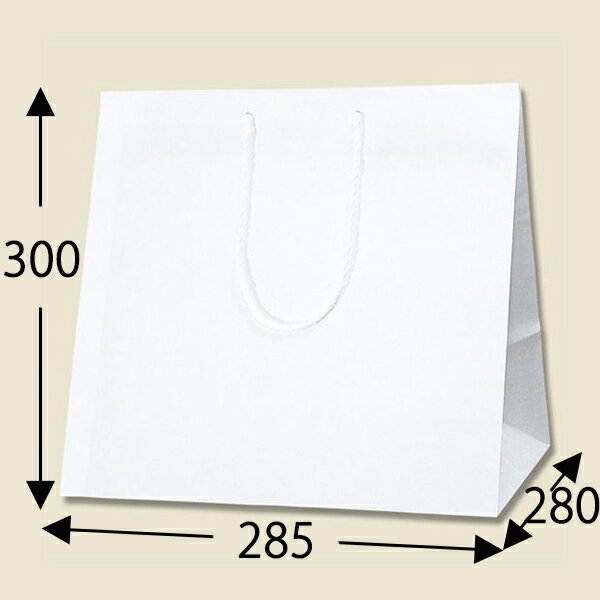 HEIKO 紙袋 アレンジバッグ S 白無地 10枚入 006441102 ヘイコー シモジマ