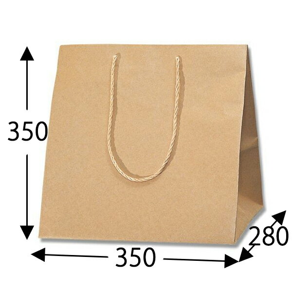 HEIKO 紙袋 アレンジバッグ M 未晒無地 10枚入 006441120 ヘイコー シモジマ