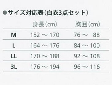 アゼアス 使い捨て白衣3点セット(白衣・キャップ・マスク ) AZ CLEAN 1302 面ファスナー 1セット (マジックテープ) Lサイズ