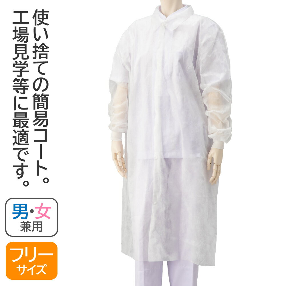 Ե 󥬡 ǥ СMP ȤΤ Կ OK0250-WP ե꡼ 10  ɸ