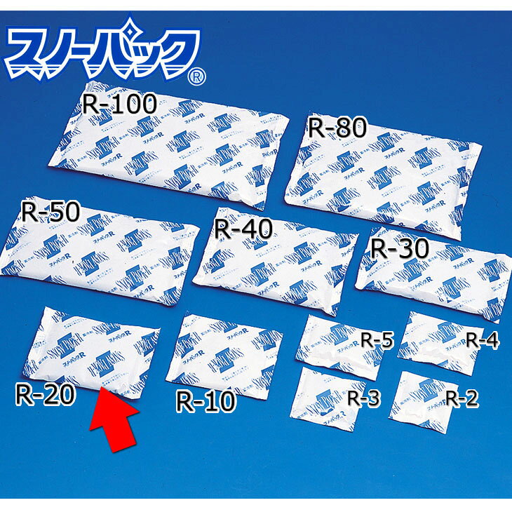 三重化学工業 スノーパック レギュラータイプ R-20 200g 80個入 保冷剤 蓄冷剤 業...