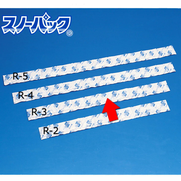 三重化学工業 スノーパック ミニタイプ R-3 30g 420個入 #192 (メーカー直送)通販格安セール情報 楽天 通販