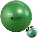 セラバンド バランスボール エクササイズボール 直径 65cm 緑 SDS-65 マニュアル付 高耐久 椅子 体幹 トレーニング ストレッチ ウォームアップ エ...