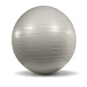 アイリスプラザ バランスボール 55cm ハンドポンプ付 PVC素材で...(4)