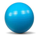 アイリスプラザ バランスボール 65cm ハンドポンプ付 PVC素材で...(4)