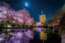 やのまん(Yanoman) 日本製1000ピース ジグソーパズル KAGAYA 月夜に咲く 京都 (50x75cm) 10-1299 ピース請求ハガキ のり付き へら付き サービスカード付 ジグソーパズルのトリセツ付