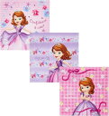 丸眞 ハンカチ 3枚組 吸水速乾 抗菌防臭加工 ちいさなプリンセス ソフィア フェミニンガーデン ちいさなプリンセス ソフィア 入園入学グッズ 入園入学準備 保育園 幼稚園 小学校 女の子 30×30cm 2065033000