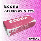 【法人様限定】 ペーパータオル エコナ 200枚入 48パック 小判 エコノミー 大容量 業務用 まとめ買い 箱買い ケース 掃除 清掃 調理 飲食 お手拭き econa