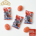 榮太樓 梅ぇ塩飴 100g 約22粒 榮太樓總本鋪 塩あめ 梅 業務用 熱中症 塩分補給 夏ギフト 父の日 おしゃれ お中元 あんこ ギフト 老舗 高級 和菓子 お取り寄せ スイーツ 常温 日持ち 手土産 プレゼント 人気 お菓子 健康 内祝い 2025